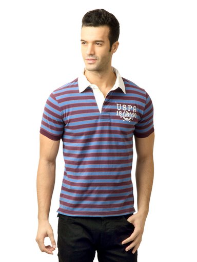 U.S. Polo Assn. Men Stripes Fedral Blue Polo Tshirt