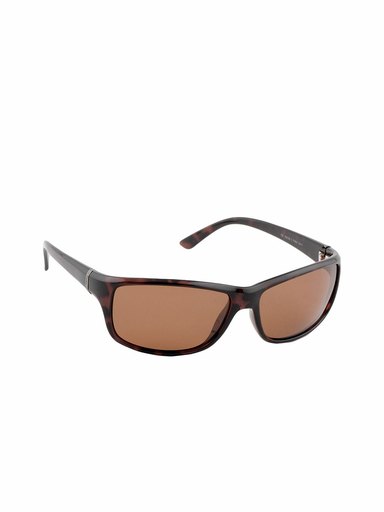 Polaroid Unisex Sunglasses