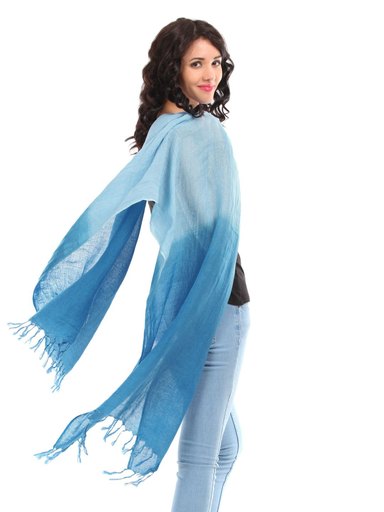 Allen Solly Women Blue Stole