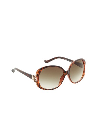 Stoln Women Brown Sunglasses