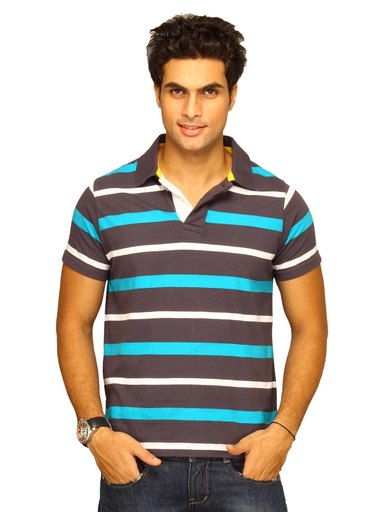 Basics Men Navy & White Striped Polo T-shirt
