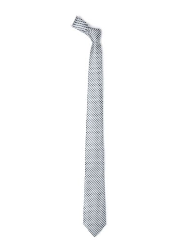 Park Avenue Men Silver Tie