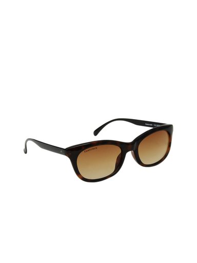 Fastrack Women Brown Sunglasses