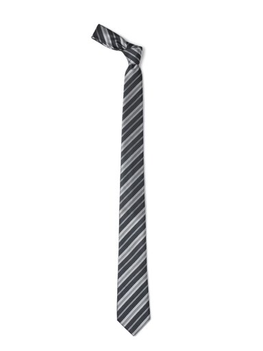 Park Avenue Men Grey Tie