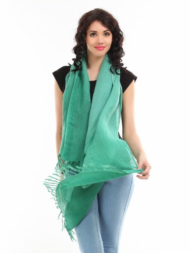Allen Solly Women Green Stole
