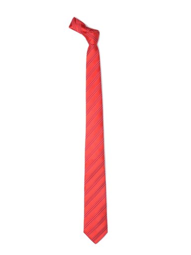 Park Avenue Men Red Tie