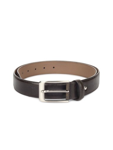 Peter England Men Brown Belt