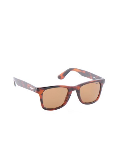 Park Avenue Men Brown Sunglasses